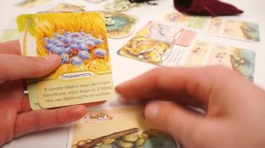 Настольная игра ПРАВИЛЬНЫЕ ИГРЫ Эволюция. Биология для начинающих