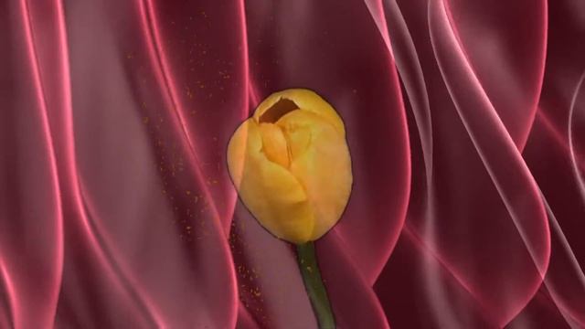 Поздравляем Веру с днём рождения - Видео Открытка смотреть онлайн