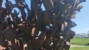 НАША ОЦЕНКА"ОТПУСК#3 Голубицкая-Темрюк #голубицкая #темрюк #краснодарскийкрай #отпуск #отпускнаморе