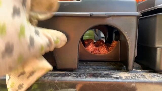 Уничтожение крыс ? (дератизация) смотреть онлайн