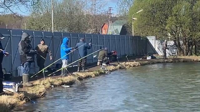 Лобня. Луговая.Рыболовный клуб Зелёный берег