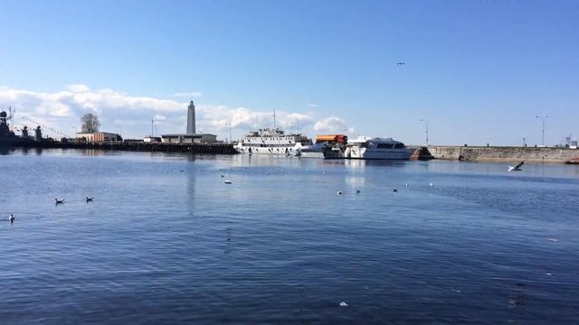 Чайки на Финском заливе смотреть онлайн