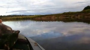 Самодельное дистанционное управление лодкой ПВХ. Первый опыт.