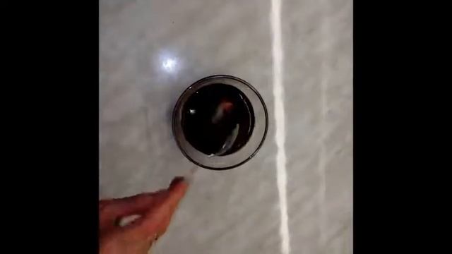 Закусочный салат по корейски