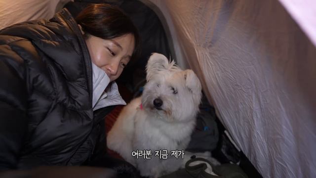 【애견동반 백패킹】 초보 백패커, 19kg 배낭 메고 눈 내리는 산 속에서 1박 도전🥶/ 어떻게 씻고 ㅆ..ㅏ냐면요.. / 20분컷 입문용 코스 추천
