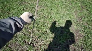 Почти все об электроизгороди