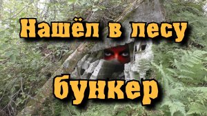 Бункер в лесу. Череп, кости, монеты и металл