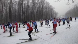 "Сокольи горы" лыжный марафон Самара