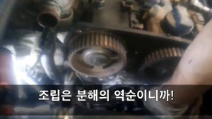 Kia Carnival 2.9CRDi timing belt : 카니발타이밍벨트