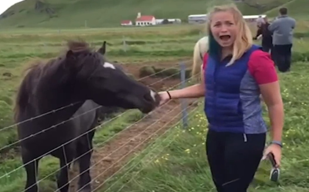 Смешные приколы Февраль 2023 #61 смотреть онлайн