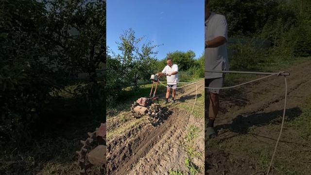 Первая (неудачная) попытка выкапывания картофеля электрокультиватором с частотником