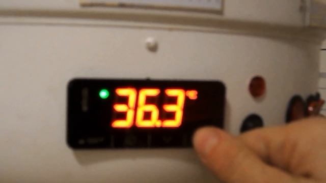 Творог из молока с ферментом / Как сделать творог в домашних условиях / Сыроварня Тремасова