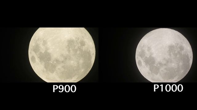 Nikon P900 vs P1000: Super Moon - Moon mode Zoom test