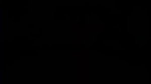 Танец метелиц(средняя-старшая группа 2014)