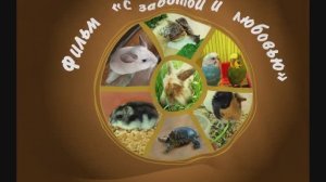 "С заботой и любовью" (фильм о юннатском живом уголке, Луганск)