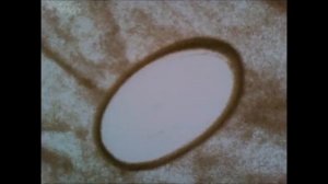 Митузова М.П. "Рисование песком  Листья"