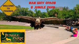 Шоу орлов в Jungle Park . Остров Тенерифе