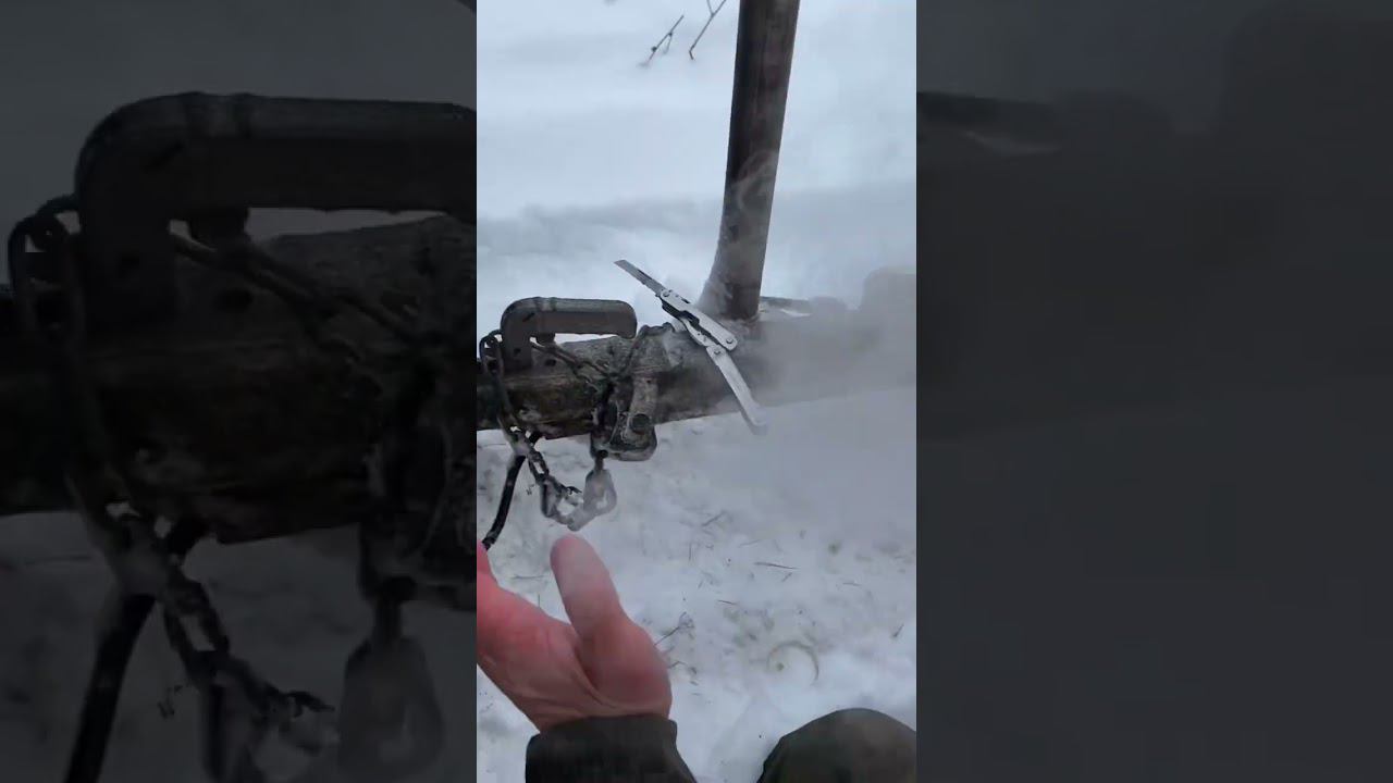 Как ещё использовать легковой прицеп МЗСА? Прицеп для охоты. ЦЛП АРИВА  Казань Чебоксары