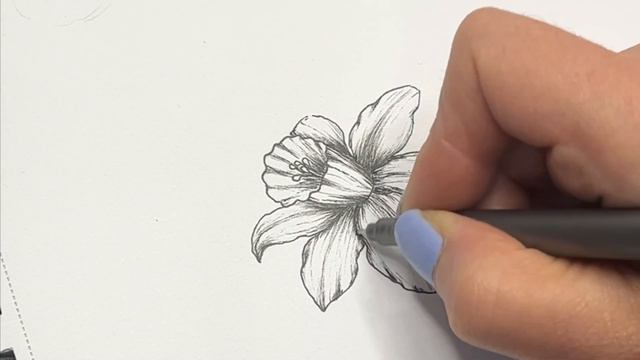 How to Draw a Daffodil 🌼 | Painting with Ink | Step by Step Tutorial | Paint with Me: Spring Flower