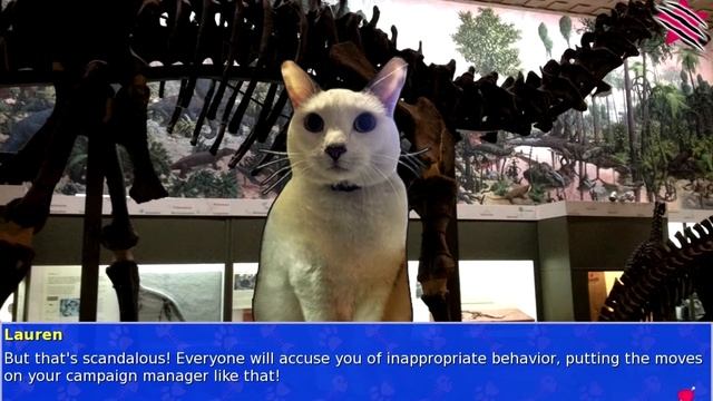 Cat President ~ A More Purrfect Union #6 - DR Evil смотреть онлайн