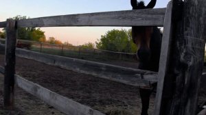 "За тихой рекою", сл. и муз. С. Трофимов