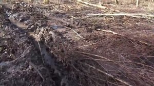 Газ 53 в лесу