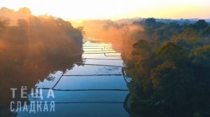 СВЁКР ИСПОЛНЯЛ ДОЛГ СЫНА ПЕРЕД СНОХОЙ | ЛЮБОВНЫЕ ИСТОРИИ | ИСТОРИИ ИЗ ЖИЗНИ