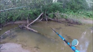 Рыбалка на лесной речке | Ловля ельца