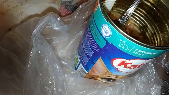 ПРОБУЮ КОРМ КОШЕК КАТТИ смотреть онлайн