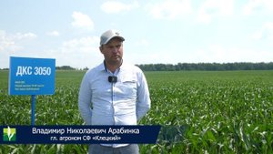 Средний удой на корову - 12 000 кг молока