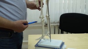 Пяточная Шпора. Причины и Лечение Пяточной Шпоры (рекомендации врача).