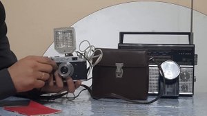 Фото вспышка чайка