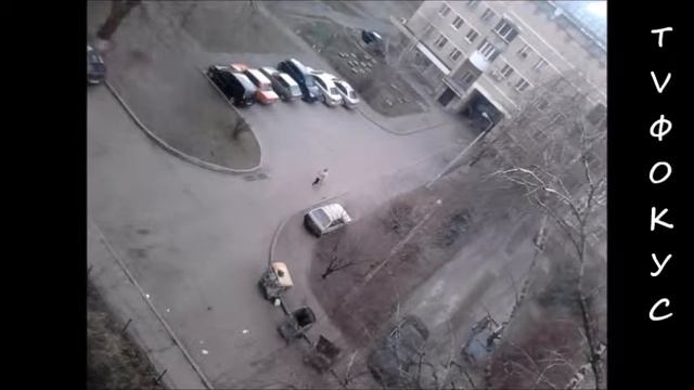 Жизнь во дворе жилого дома. Камера видео наблюдения. Святошинский район. Киев. 22.3.19. смотреть онлайн