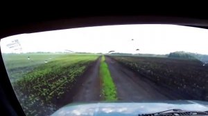 нива по полю после дождя