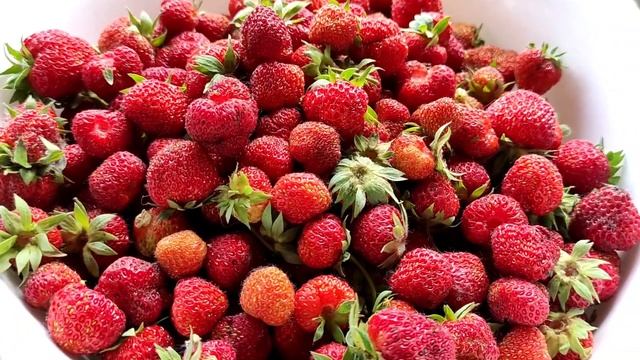 Открыла купальный сезон ?♀️первая клубника на даче 3 июня 2023?наш огород ? смотреть онлайн