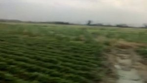 Мото блок