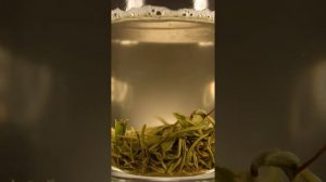 Чай Би Ло Чунь Изумрудные Спирали Весны)