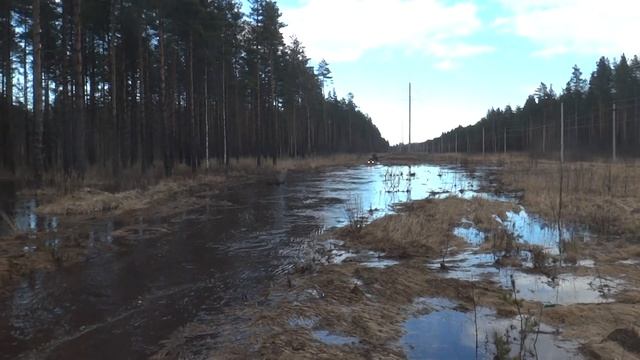 квадро приключение смотреть онлайн