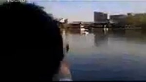 Гигантский крокодил проглотил девушку