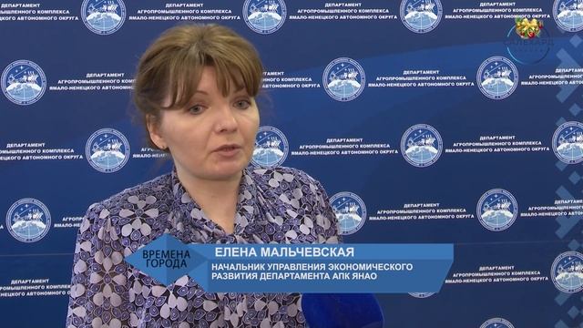 Субсидии из федерального бюджета. Бюджет. Субсидии из окружного бюджета. Субсидии из окружного бюджета. Субсидии из окружного бюджета.