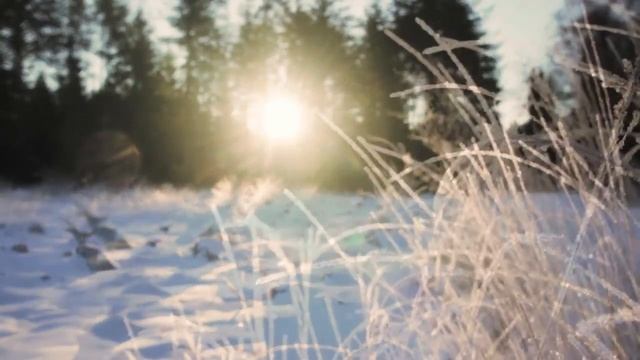 Forest in winter and great piano relax music - for calming down, meditation, relaxation смотреть онлайн