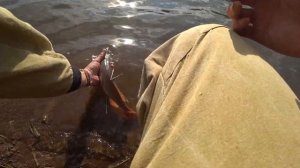 ловим ЩУКУ на реке ЗАЙ, ловля на СПИННИНГ(ДЖИГ) Рыбалка 2021