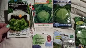 какие сорта капусты будем сажать на Урале в 2021году