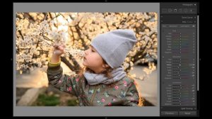 Коррекция цвета в Lightroom