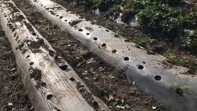 Очередные работы. Земля на отдых. смотреть онлайн