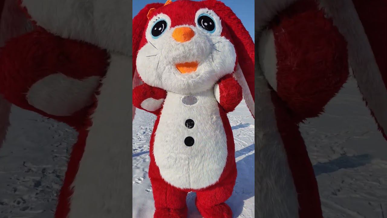 Зайчик-красавчик #аниматоры #танцы #анимация #праздник #весело #свадьба #дети #новыйгод #bunny смотреть онлайн