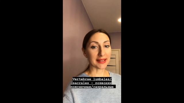 АНАТОМИЯ ПОЗВОНОЧНИКА НА ЛАТИНСКОМ