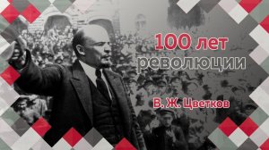 Профессор МПГУ В.Ж.Цветков в программе "100 лет революции (23-29 октябрь 1917)" Часть 1