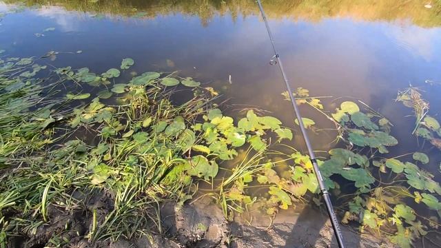 Река Бакса. Щучки.Отдых смотреть онлайн