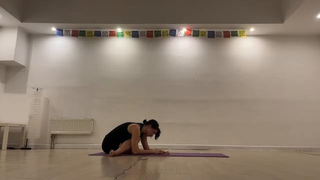 04_07_2023 Tuesday 20:00 Ripa. Masterclass Hatha Yoga (Вторник 20:00 Мастеркласс Хатха йога Мила Ка смотреть онлайн